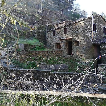 Casa De Baixo Daire Lousã Dış mekan fotoğraf